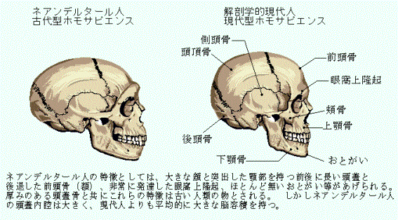 y킢z͍ʉ Part89yގz 	YouTube>21{ ->摜>164 